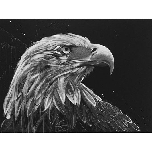 Focus - Jennifer Hogwood