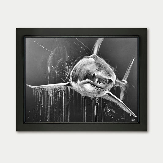 Jennifer Hogwood Original Shark Painting Contemporary Wildlife Art